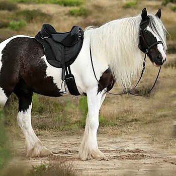 Barefoot® Cheyenne DryTex (allround, distans), svart