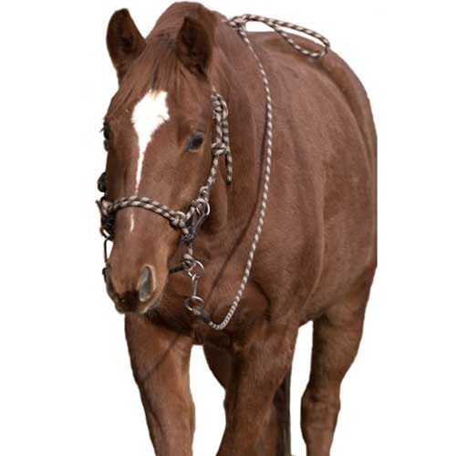 Rope halter Barefoot® '3 in 1' Juniper - 6