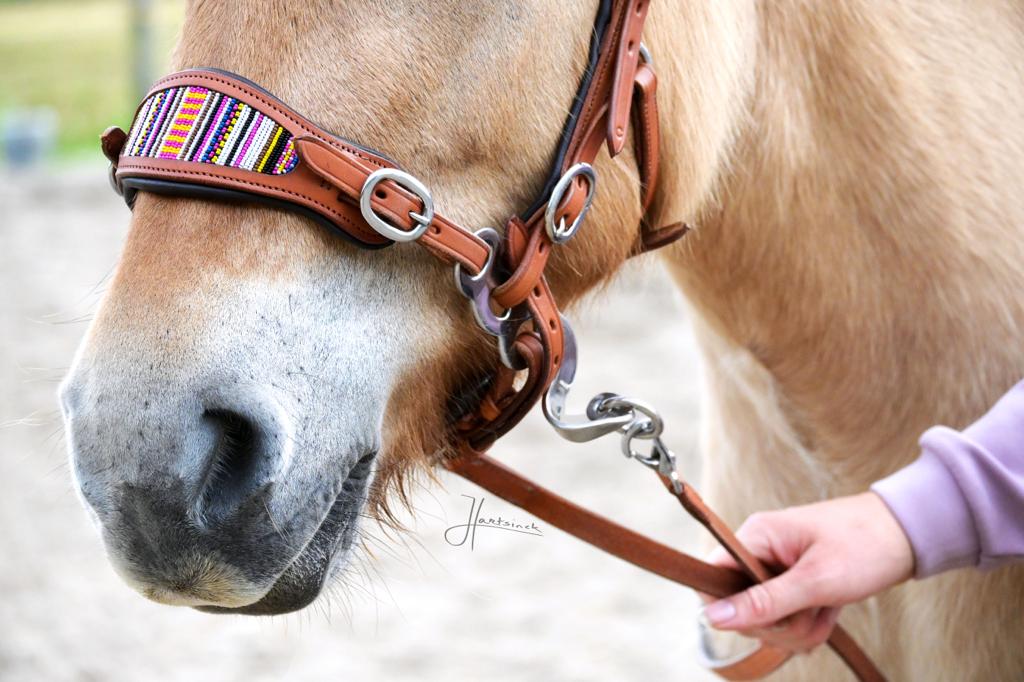 Bridle Anatomical, Edix© Brightstar, cognac - 4