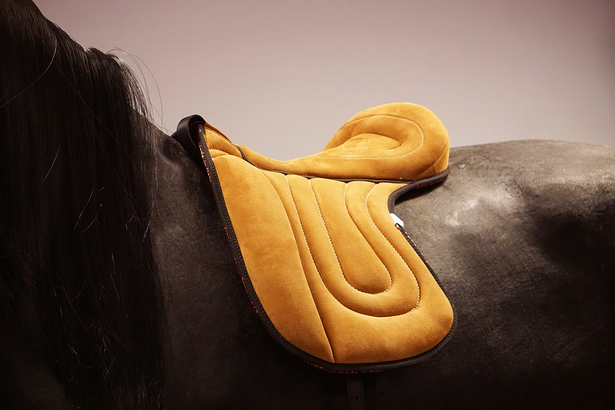 Pioneer® Verona ride pad Classic Support (incl. girth), brown - 6