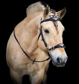 Hackamoreträns (anatomiskt) F.R.A® Imperial, svart