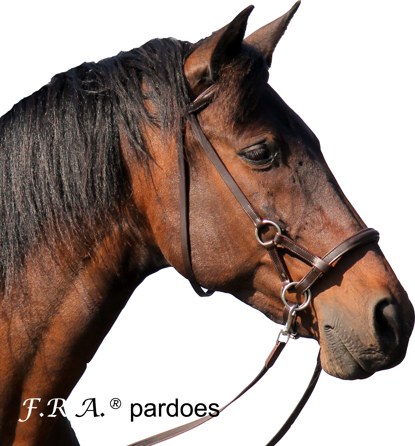 F.R.A® Pardoes Sidepull inkl. tyglar (mini-shettis upp till full), svart - 8