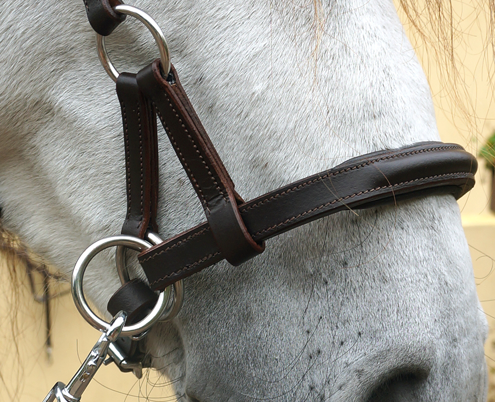 F.R.A® Pardoes Sidepull inkl. tyglar (mini-shettis upp till full), svart - 7