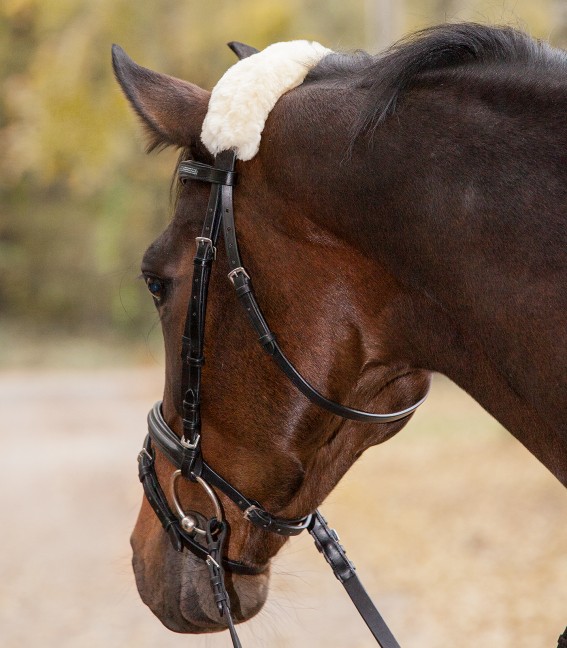 Real Lambskin Noseband - or Headpiece-Cushioning  - 2