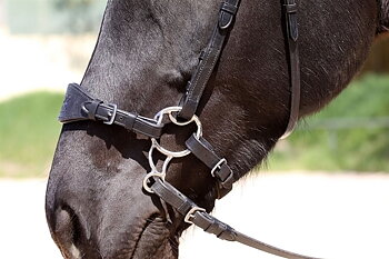 Hackamore skänklar Bitless Bit (BBB®) Barefoot® 