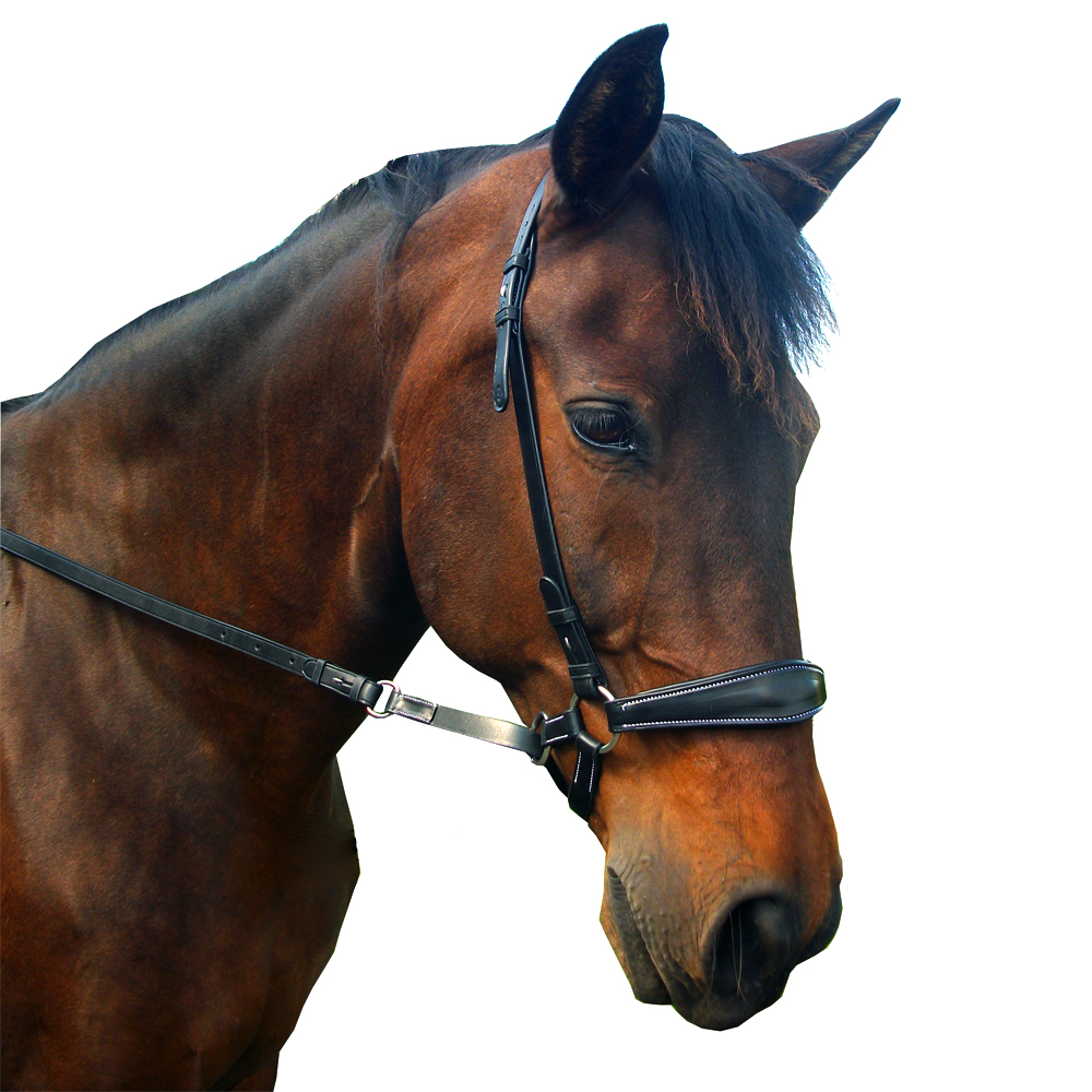 Bitless Bridle Quick Release (Crossunder) F.R.A® Lami nosdel - 5