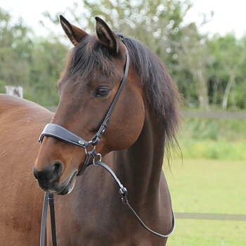 Bitless Bridle Quick Release (Crossunder) F.R.A® Lami nosdel
