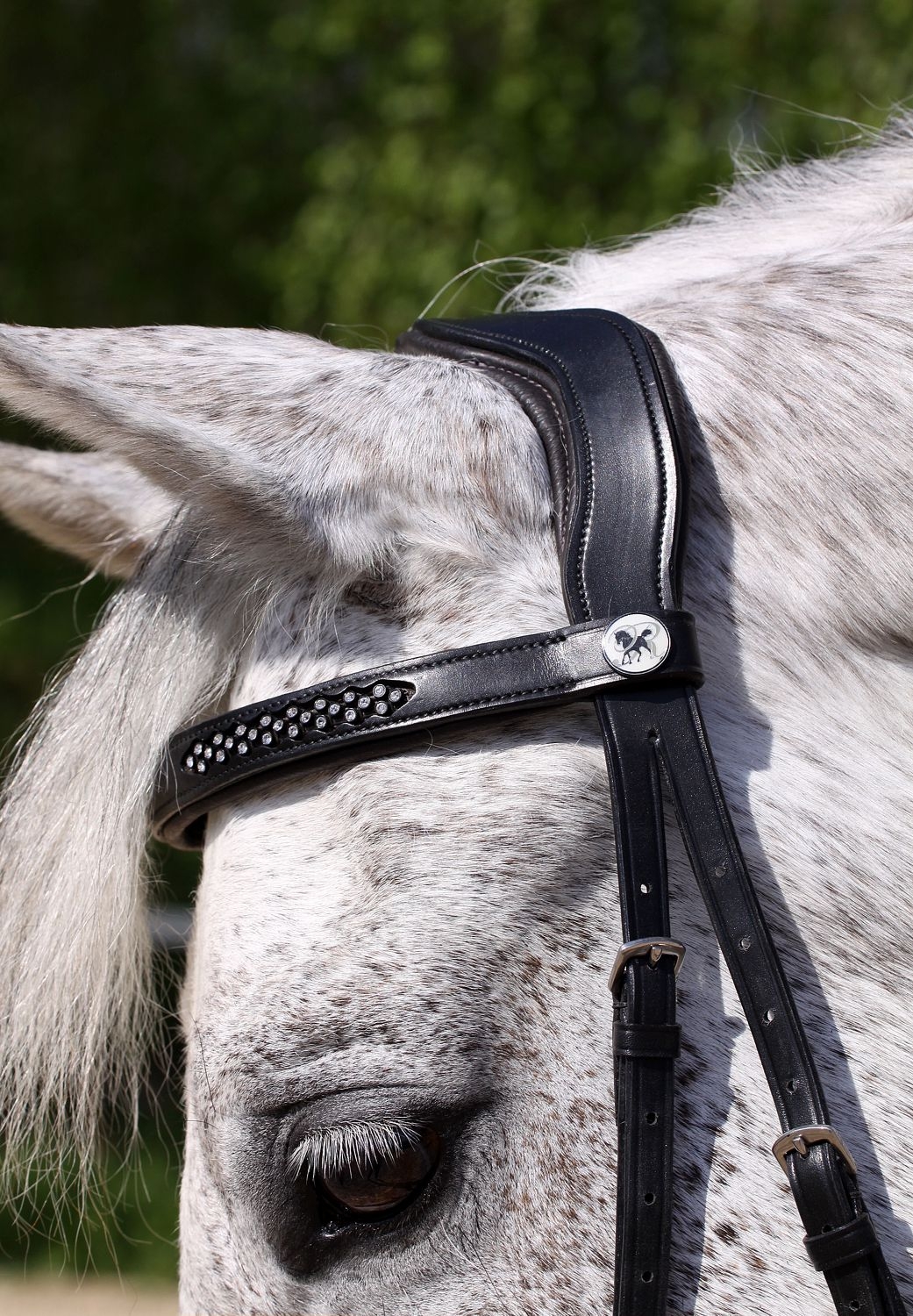 Barefoot® Bitless Bridle Contour Jewel - 5