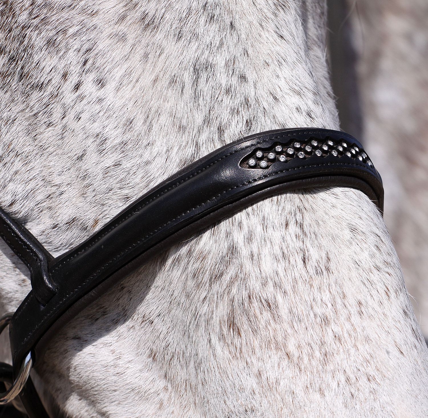 Barefoot® Bitless Bridle Contour Jewel - 4