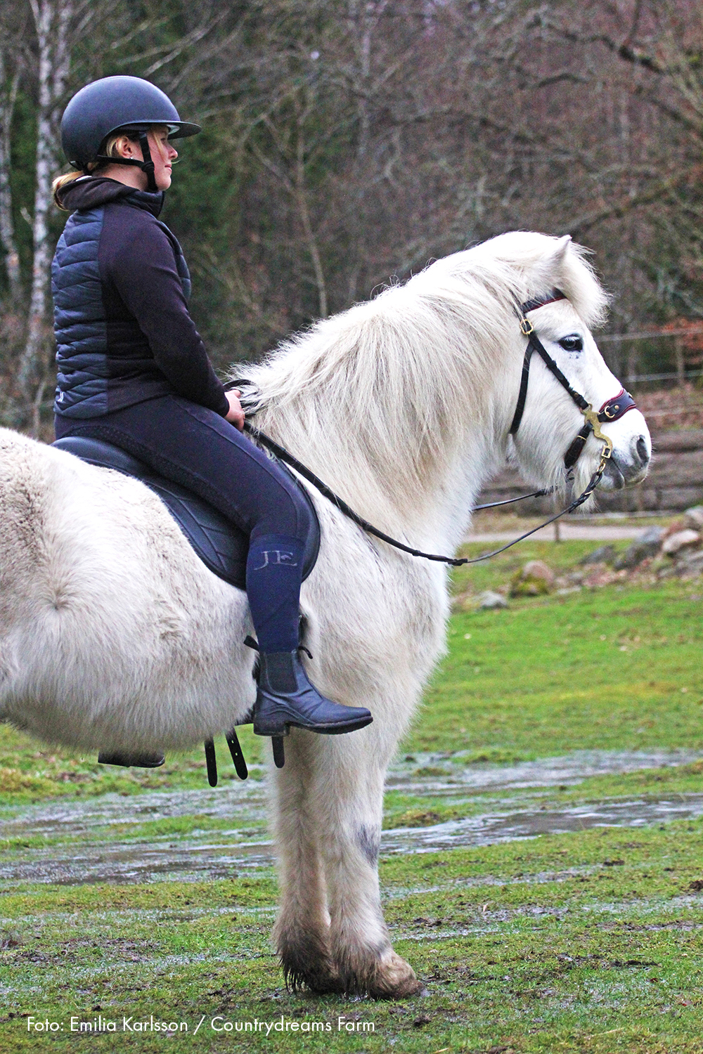 Taur Pad Supreme II (barbackasadel / ridpad med ryggradsfrihet)  - Svart - 8