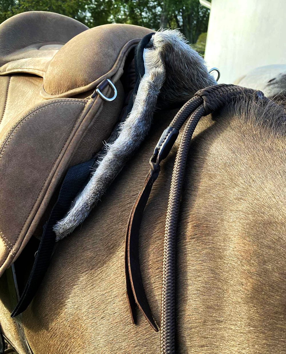 Halfpad renskinn Bartl AERIAL, sandbeige - 12