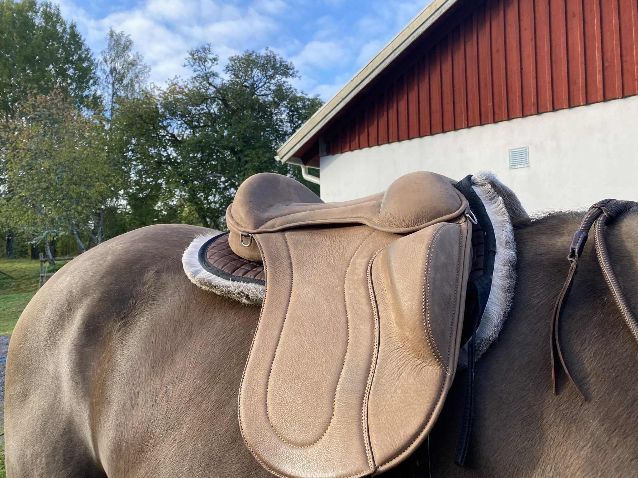 Halfpad renskinn Bartl AERIAL, sandbeige - 13