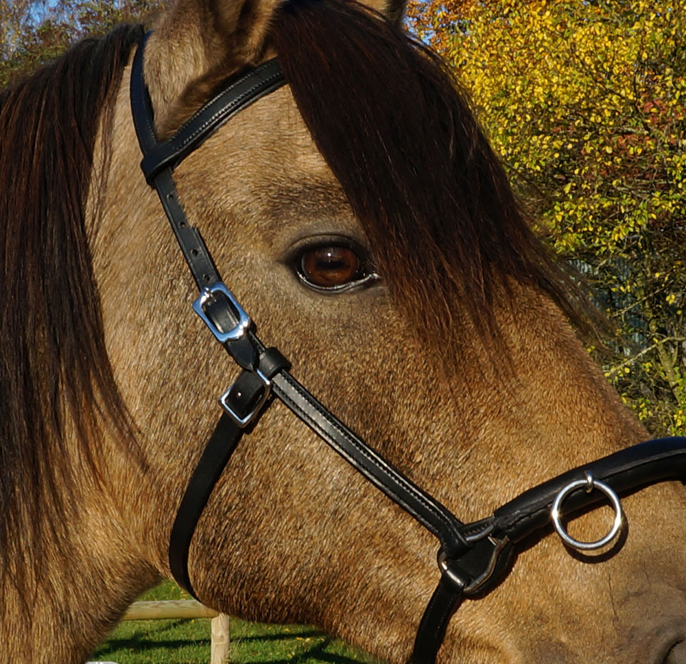 Globus Kapson Classic, 3 ringar, svart eller brun - 6