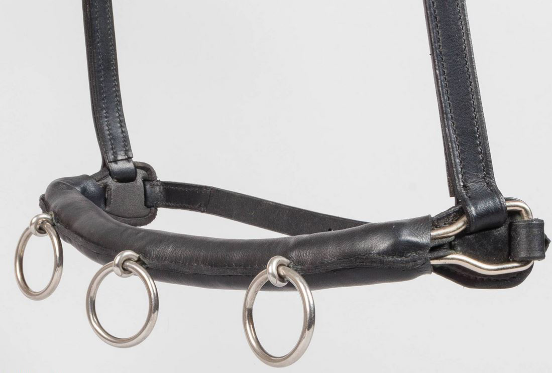 Globus Kapson Classic, 3 ringar, svart eller brun - 3