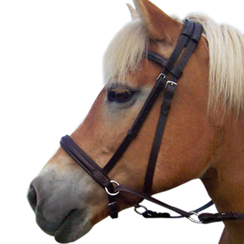 F.R.A® Bitless Bridle Indy - 2
