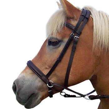 F.R.A® Bitless Bridle Indy