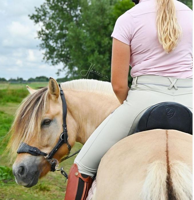 Hackamore bridle Edix© Q-Jazz Anatomical  - 5