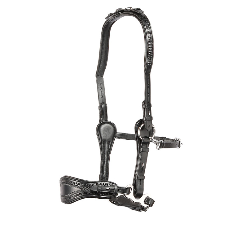 Hackamore bridle Edix© Q-Jazz Anatomical  - 4