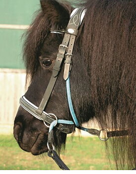 Barefoot® Bitless Bridle Bellis Ponny, ljusblå