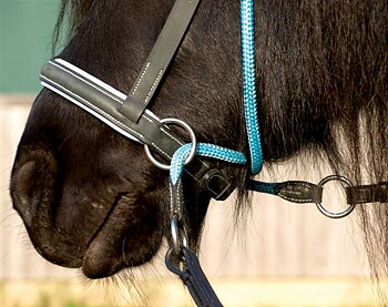 Barefoot® Bitless Bridle Bellis Ponny, ljusblå