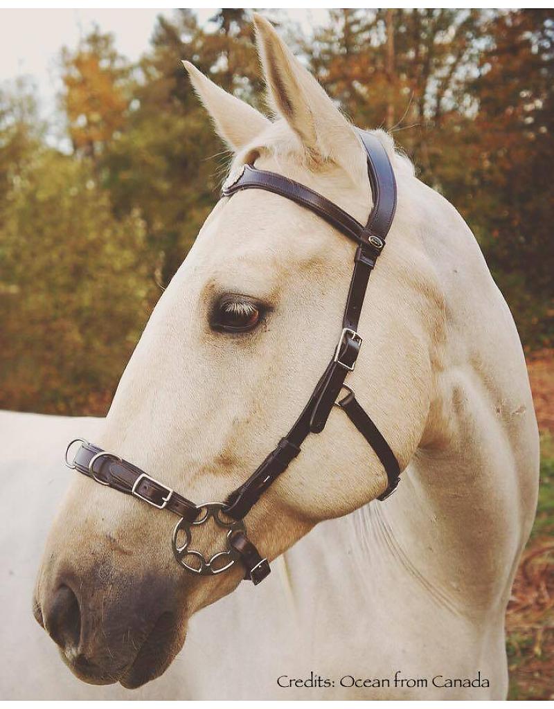 Cavemore bridle F.R.A® 'Caval' (complete) - 7