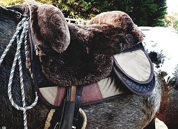 EDIX® Signor sheepskin saddle AirMesh / High withers, cream