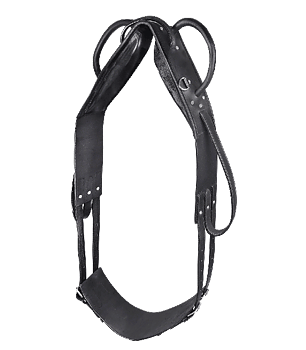 Lunging- and Vaulting Surcingle, leather