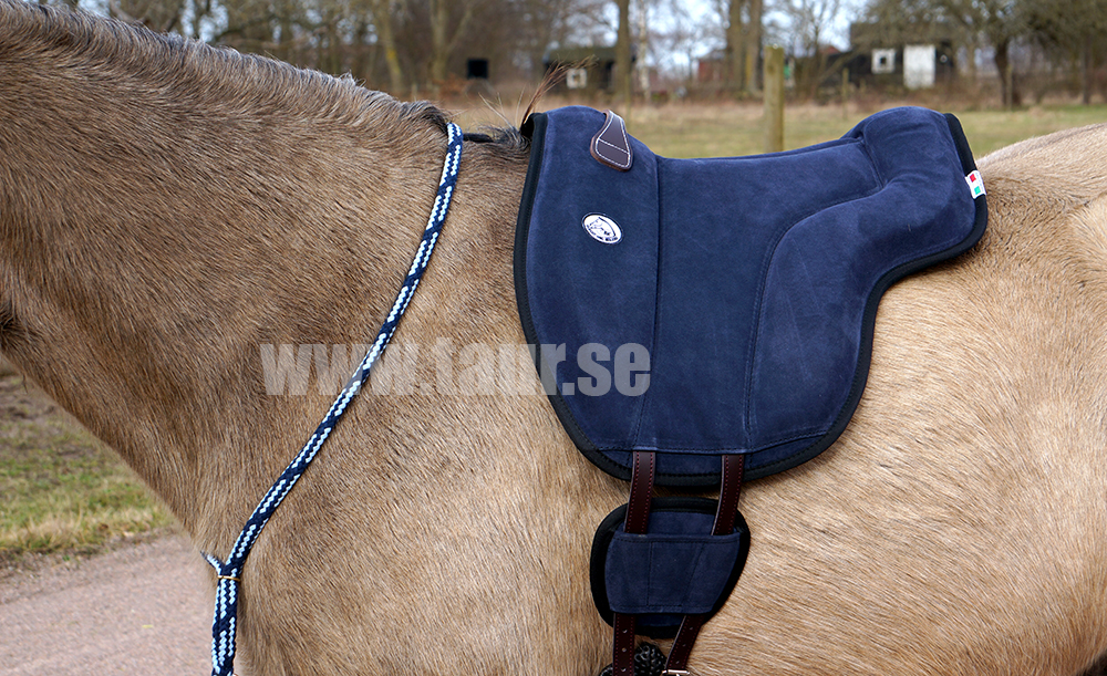 Brockamp ride pad / barebackpad in suede 'Special', dark navy - 11
