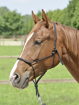 Rope Halter SMOOTH, black