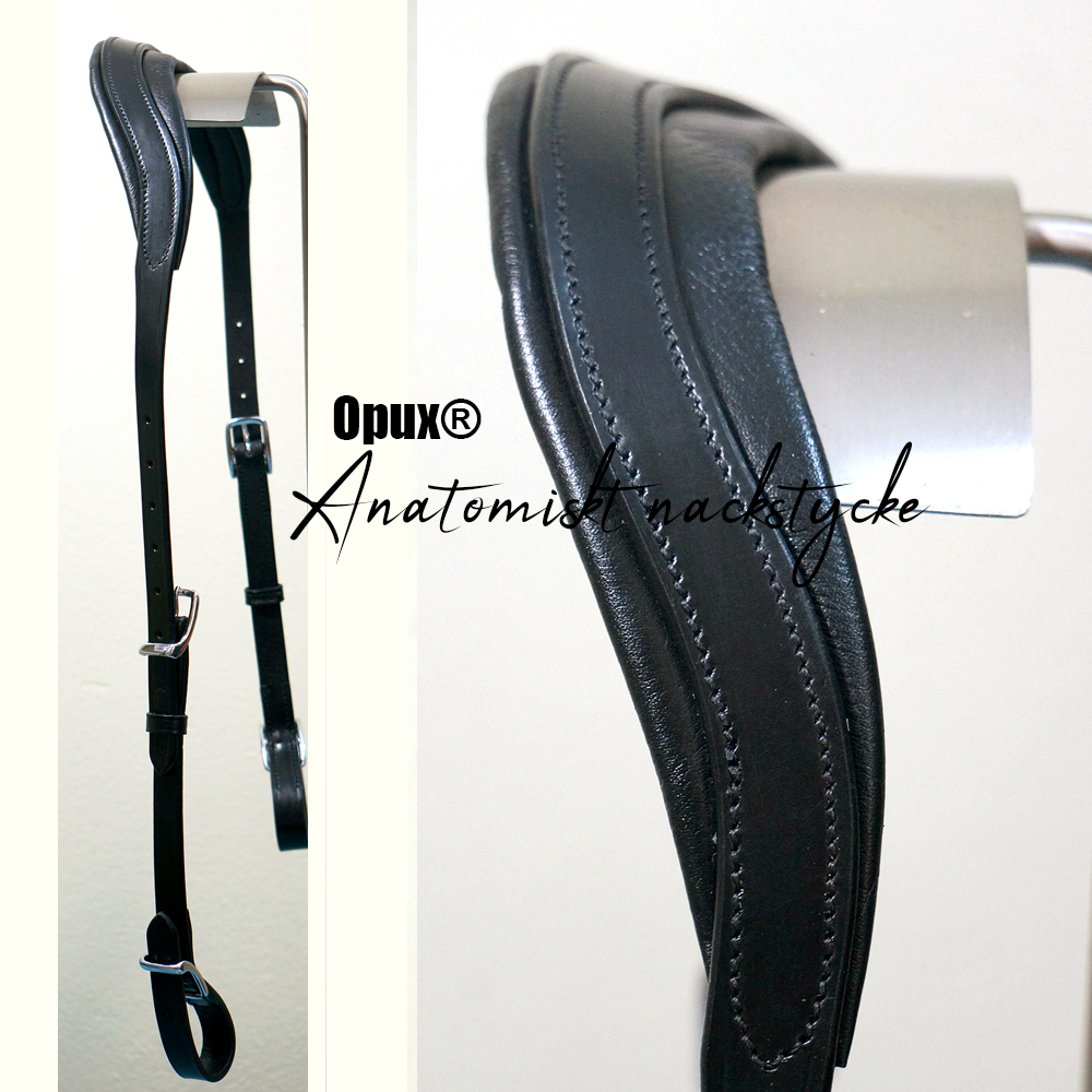 Jinsiy aloqani tomosha qiling, ular boshini mushukka soladilar Erkak jinsiy azosining pornografik fotosuratlari