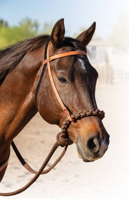 Professional's Choice® Loping Hackamore (incl. reins) - 4