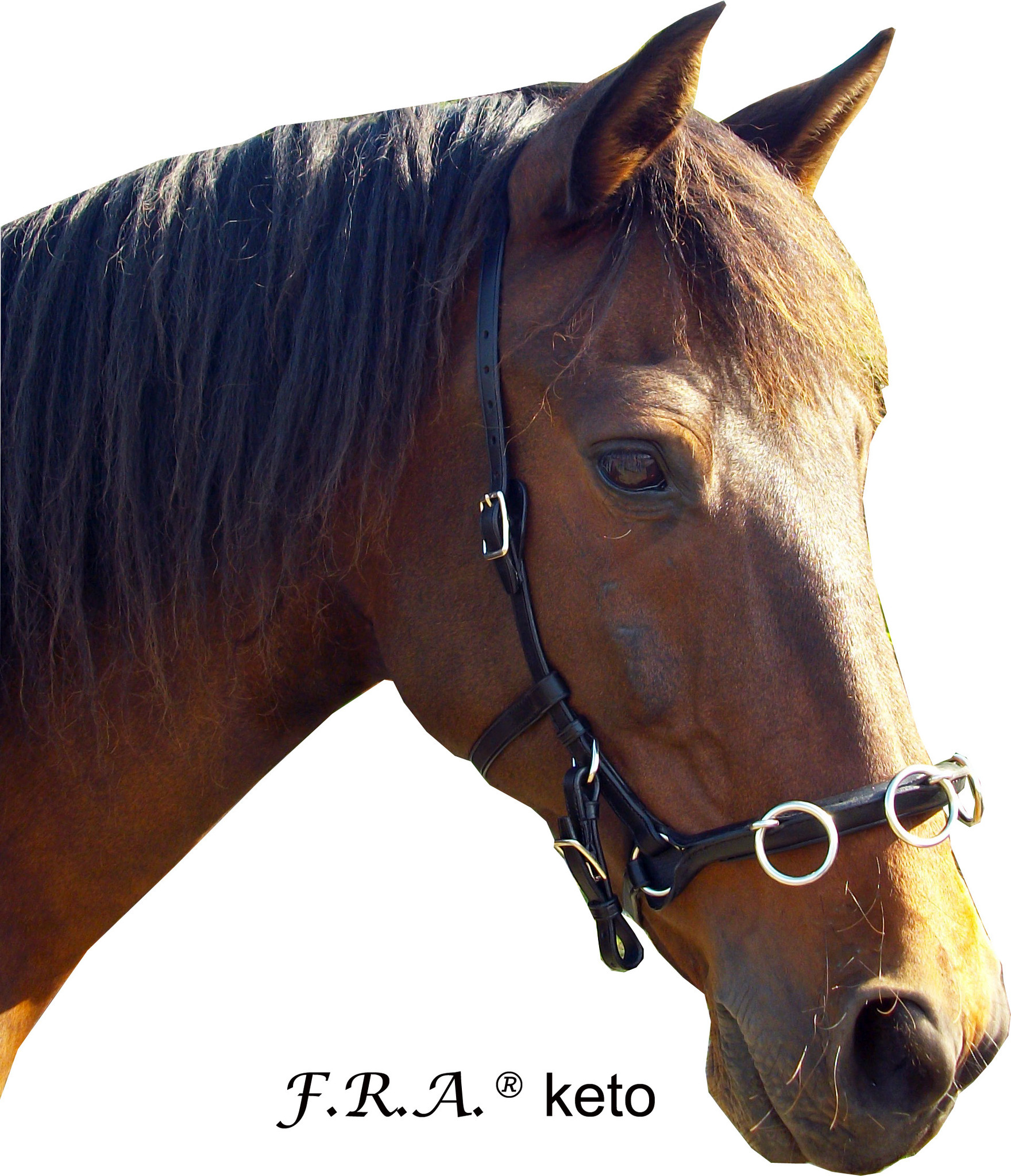 Ridkapson F.R.A® Keto (ponny till full), kedja  - 5