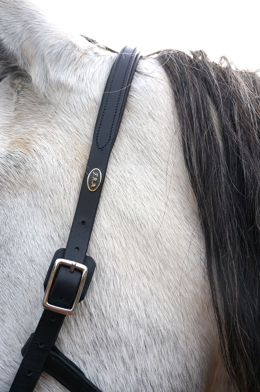 Ridkapson F.R.A® Keto (ponny till full), kedja  - 3