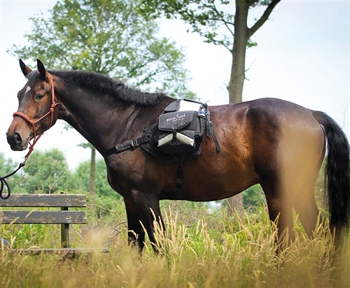 Barefoot®  Backpack Walk-My-Horse™ - 9