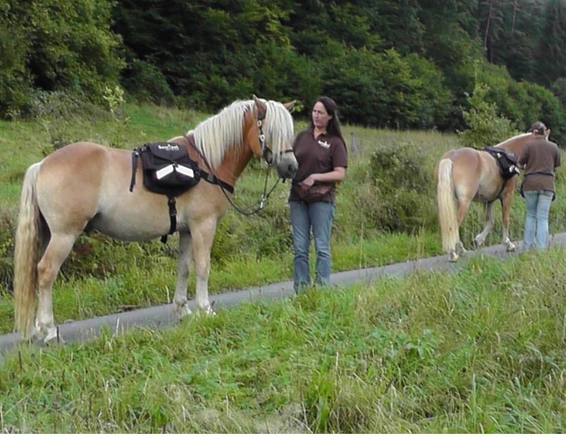 Barefoot®  Backpack Walk-My-Horse™ - 6