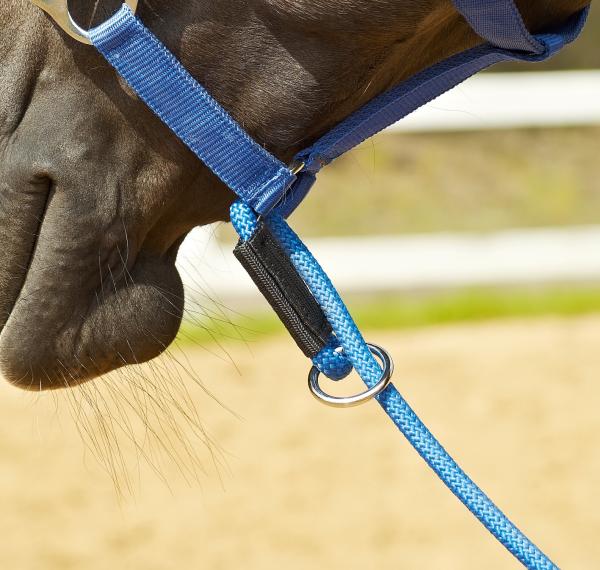 Multifunction halter 3-in-1 - 3