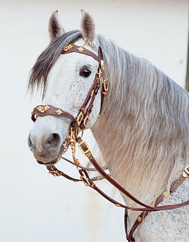 Marjoman Portuguese Cortezia Bridle inkl. dubbla tyglar