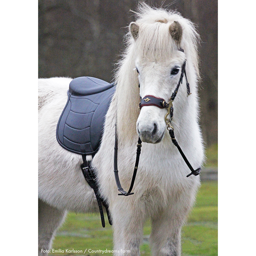 Taur Pad Supreme II with panels - Chocolate - 10