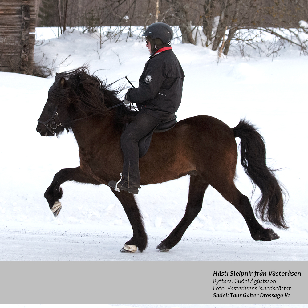 Gaiter Dressage V2 Classic (treeless) - 12