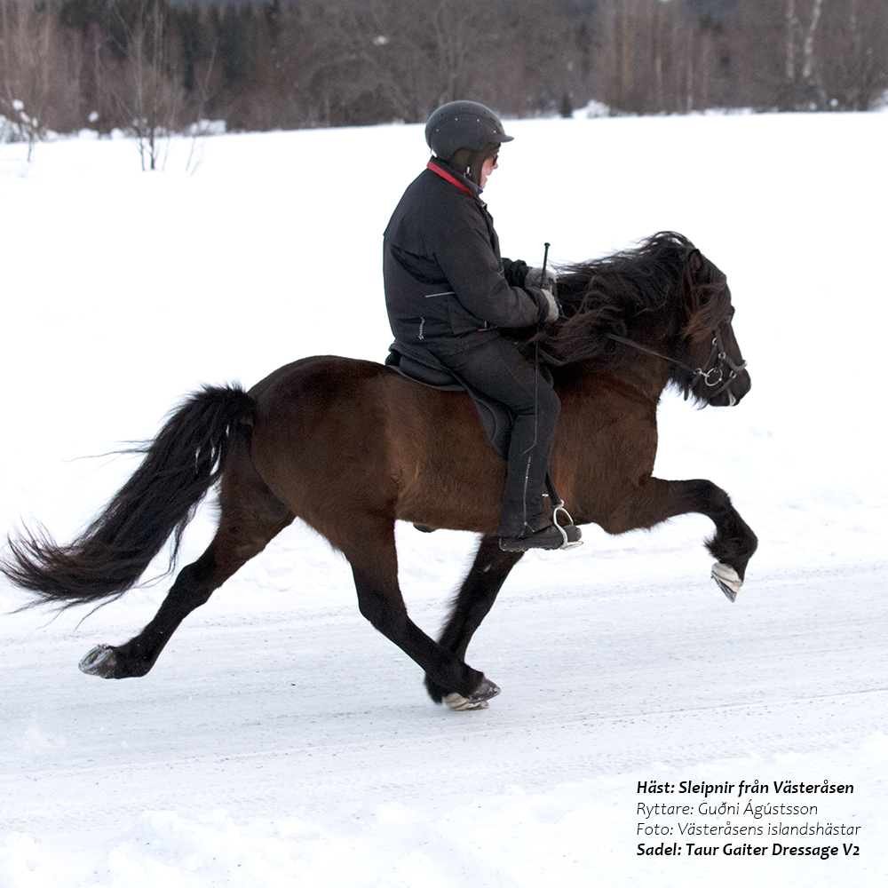 Gaiter Dressage V2 Classic (treeless) - 16