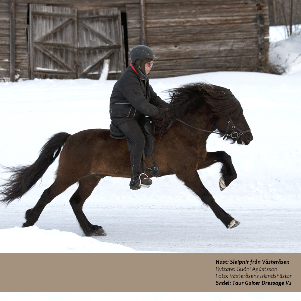 Gaiter Dressage V2 Classic (treeless) - 14