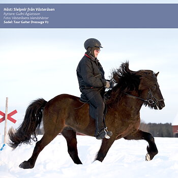 Gaiter Dressage V2 Classic (bomlös)