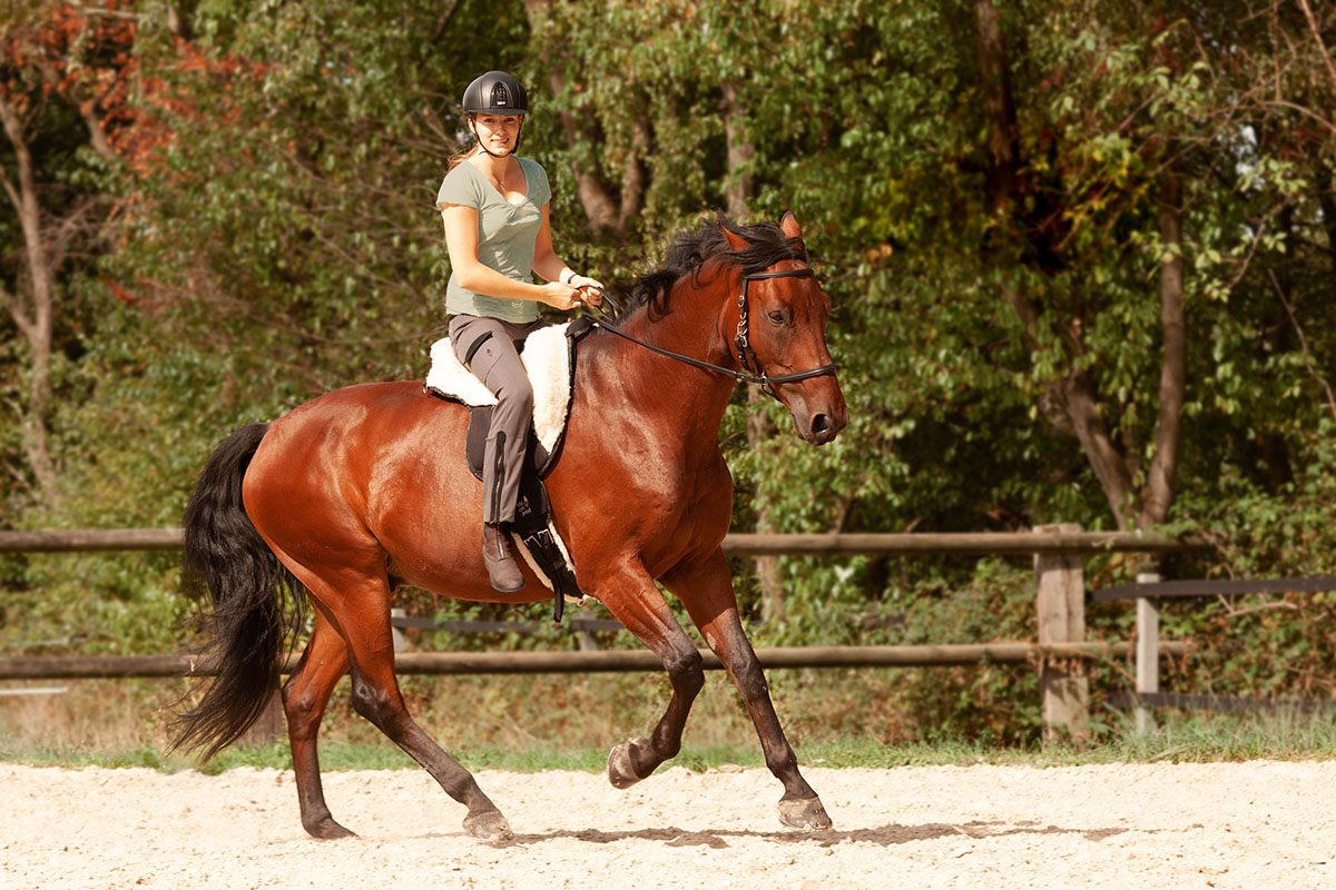 Barefoot® Ride-On-Pad Physio Nature (med stöd), L - 8