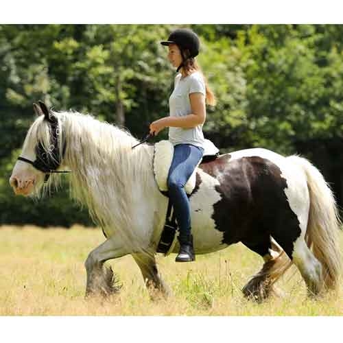 Barefoot® Ride-On-Pad Physio Nature (med stöd), L - 3