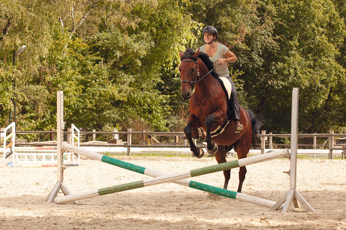 Barefoot® Ride-On-Pad Physio Nature (med stöd), L - 9