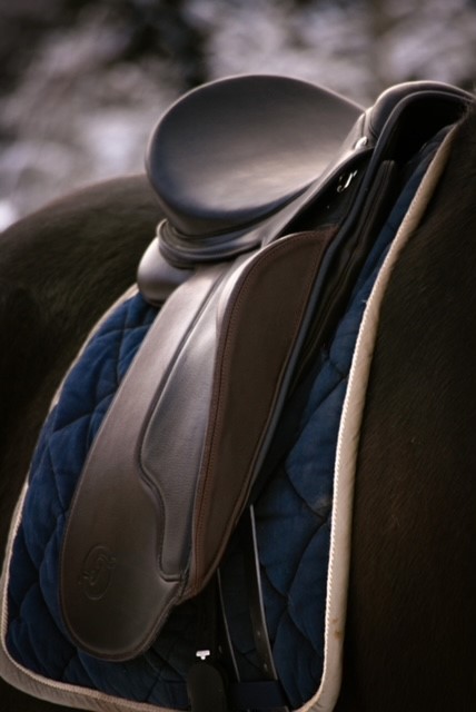 Opux® Dressage II - 13