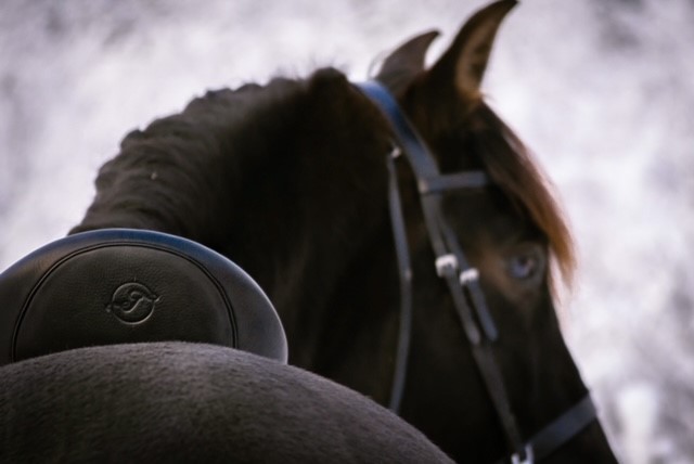 Opux® Dressage II - 15