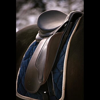 Opux® Dressage II