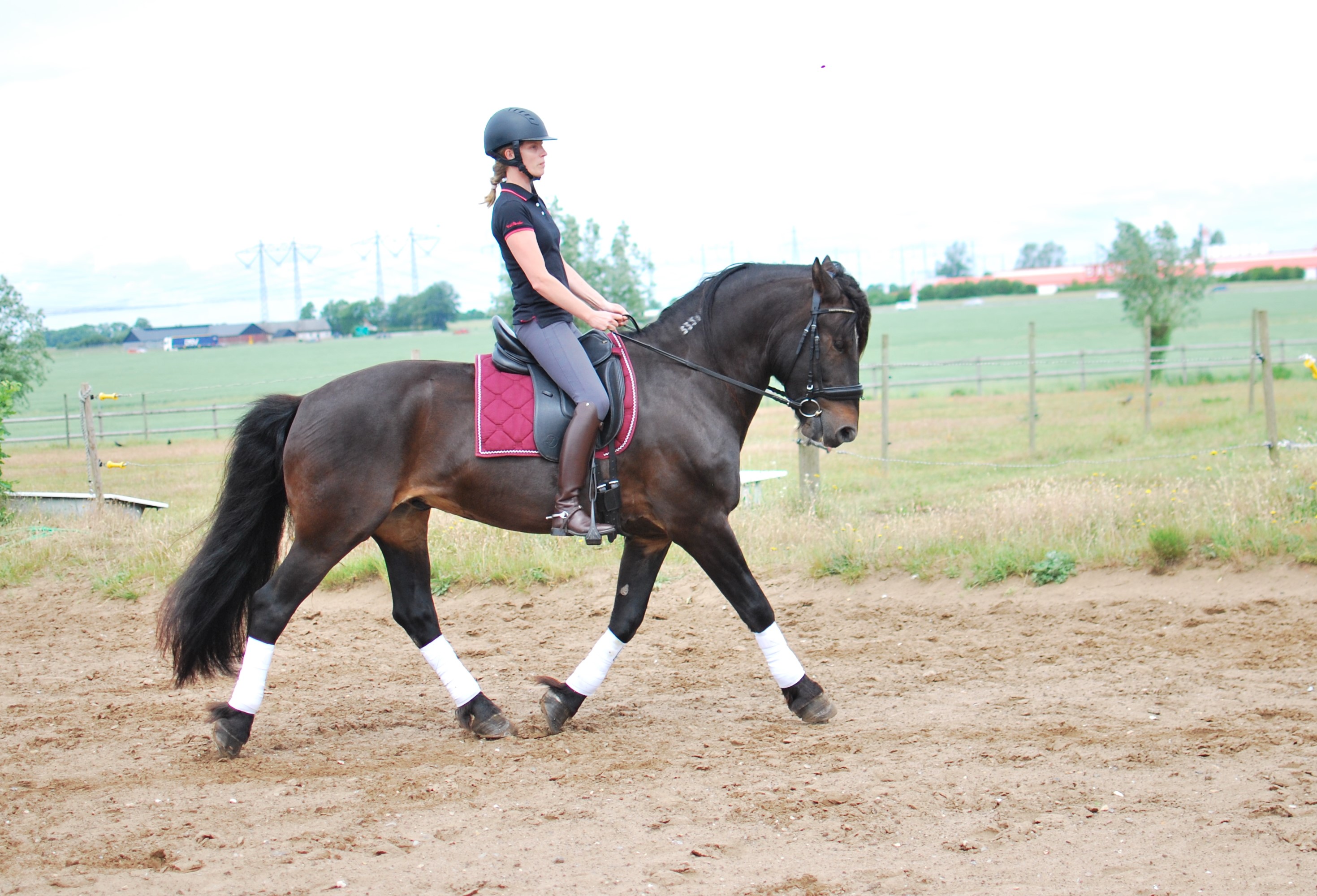 Opux® Dressage II - 10