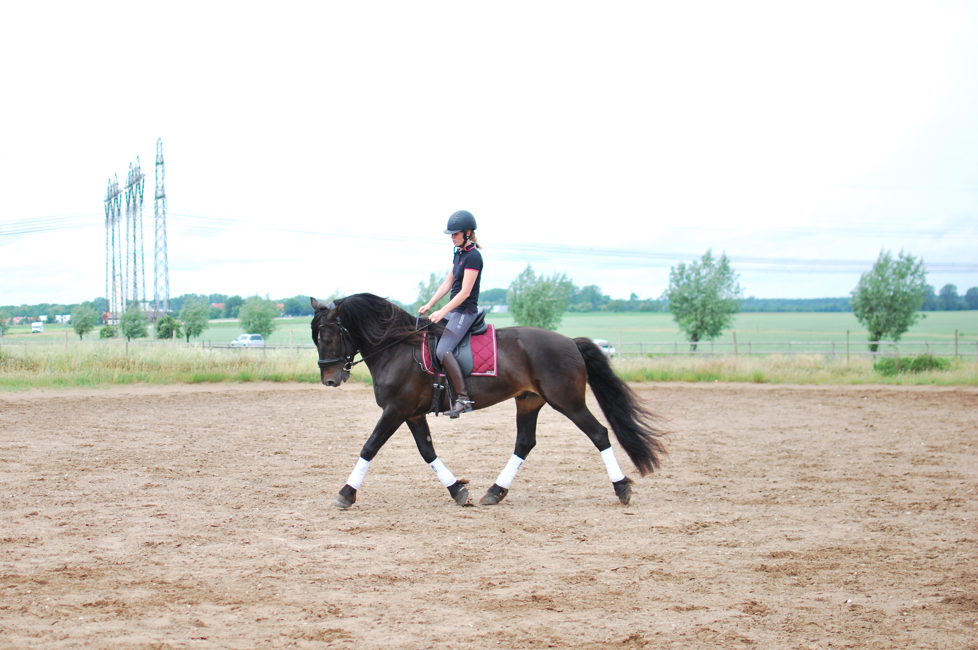 Opux® Dressage II - 12